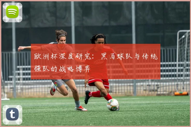 欧洲杯深度研究：黑马球队与传统强队的战略博弈
