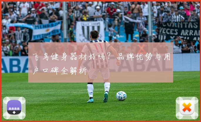 飞鸟健身器材好吗？品牌优势与用户口碑全解析