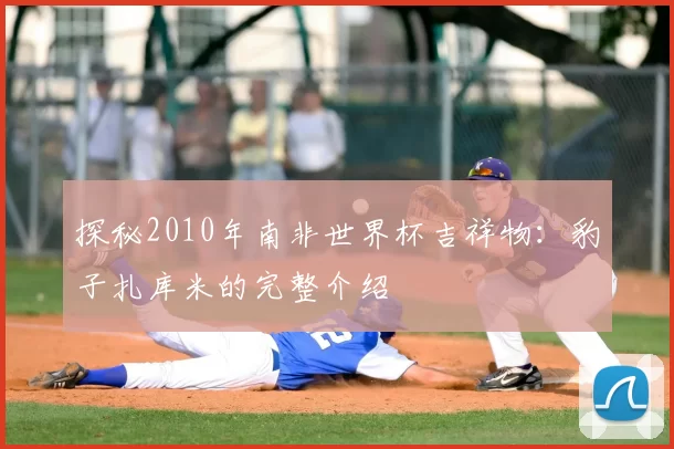 探秘2010年南非世界杯吉祥物：豹子扎库米的完整介绍