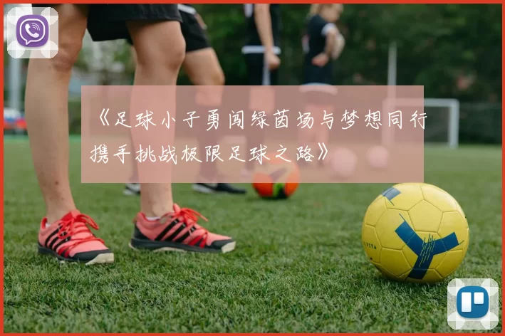 《足球小子勇闯绿茵场与梦想同行携手挑战极限足球之路》