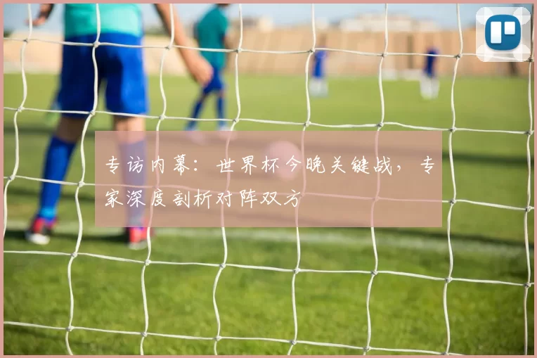 专访内幕:世界杯今晚关键战,专家深度剖析对阵双方