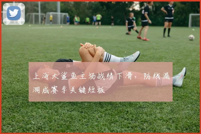 上海大鲨鱼主场战绩下滑，防线漏洞成赛季关键短板