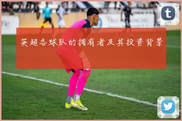 英超各球队的拥有者及其投资背景