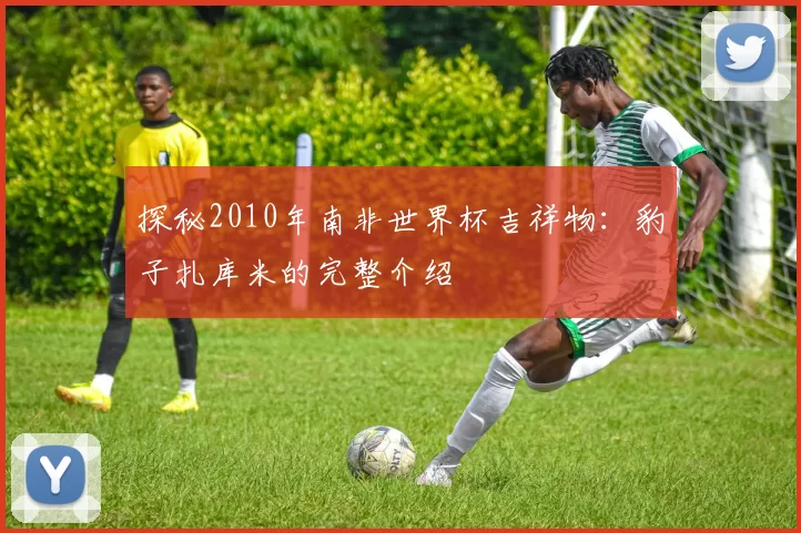 探秘2010年南非世界杯吉祥物：豹子扎库米的完整介绍