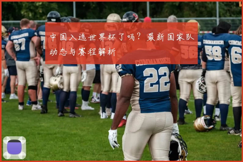 中国入选世界杯了吗？最新国家队动态与赛程解析