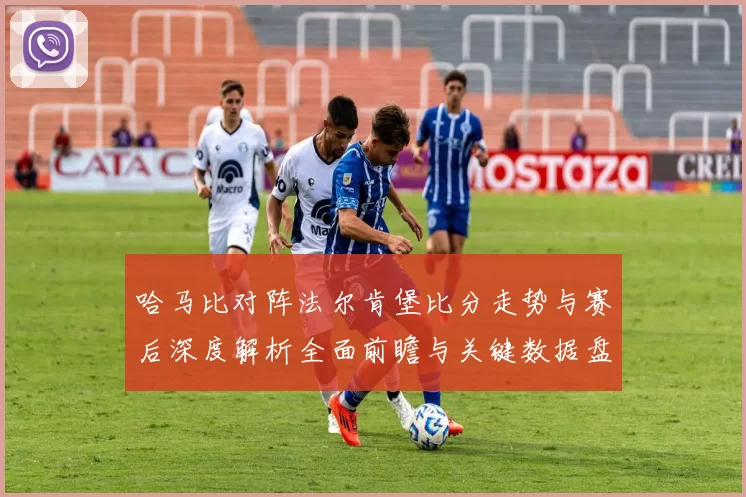 哈马比对阵法尔肯堡比分走势与赛后深度解析全面前瞻与关键数据盘点