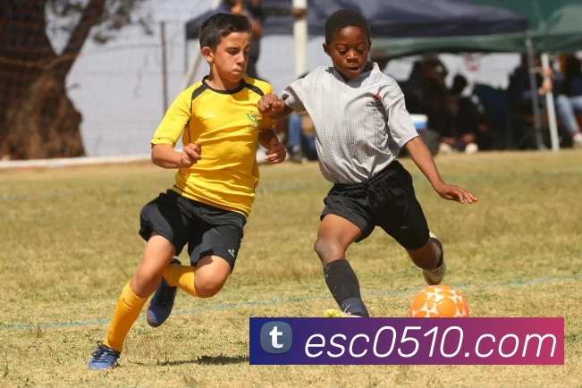 华体会app品牌故事