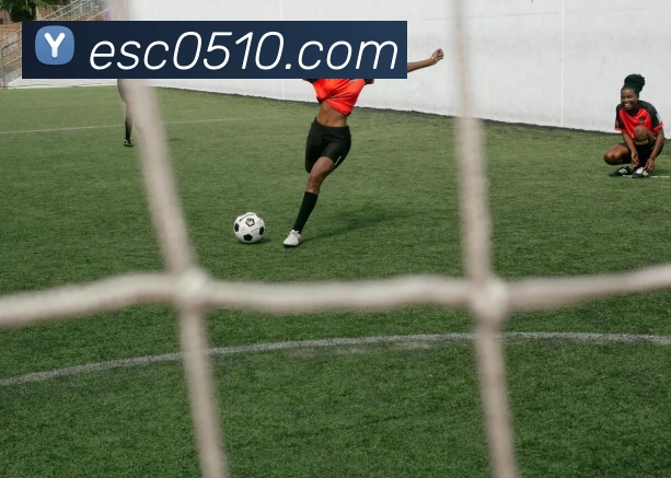 多媒体互动体验